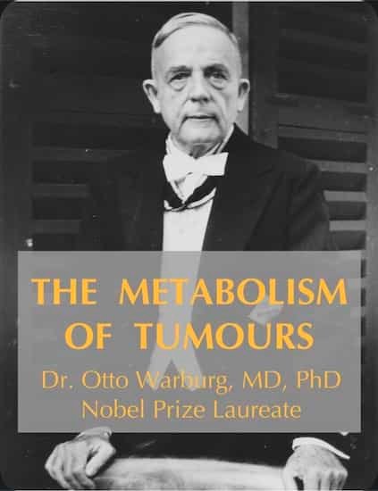 otto warburg